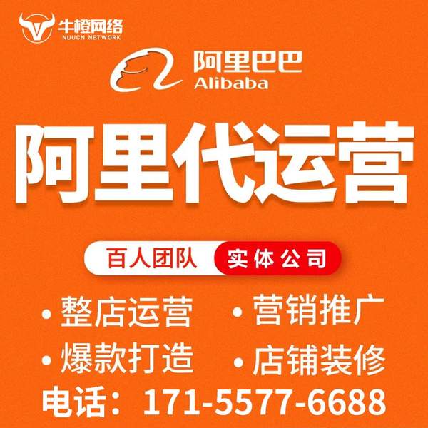 常州电商代运营
