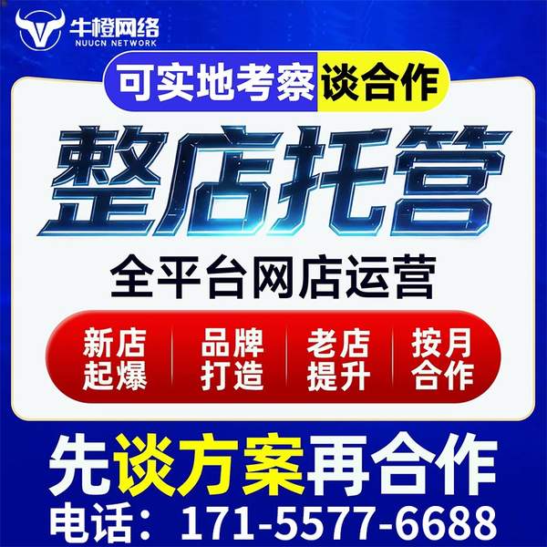 常州电商代运营