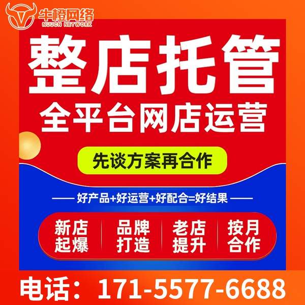 常州电商代运营