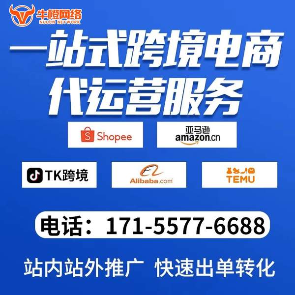 常州电商代运营