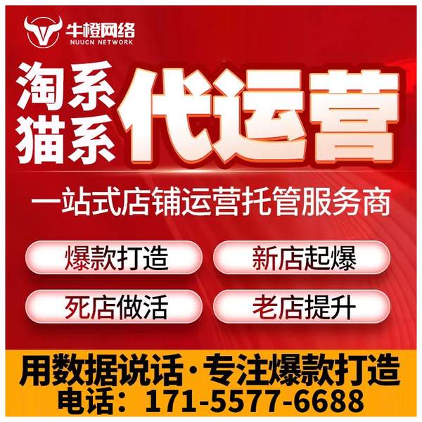 常州电商代运营